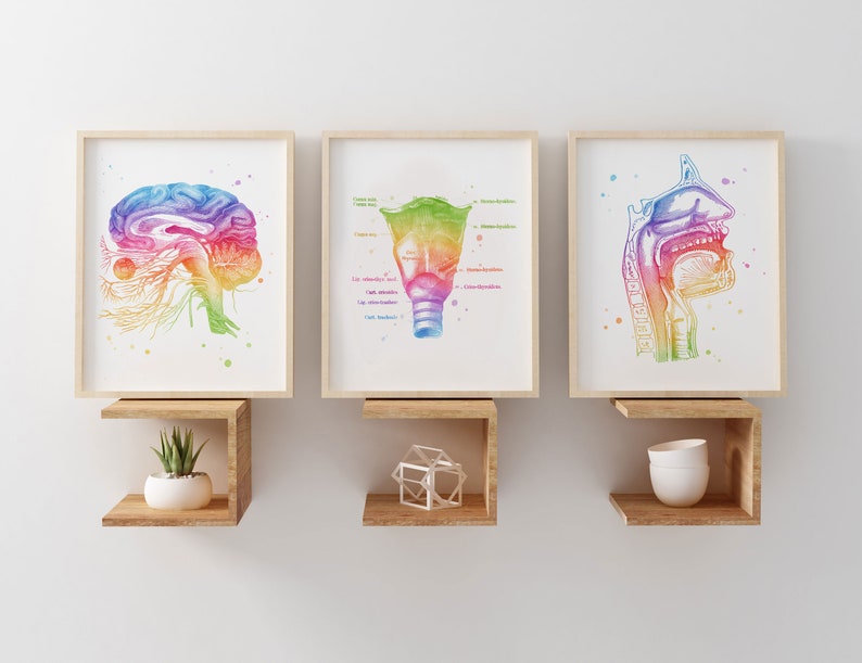 SLP Gift - Speech Therapist Gift - Speech Pathologist Gift - Speech Therapy Bundle Office Decor