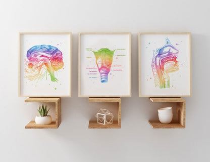 SLP Gift - Speech Therapist Gift - Speech Pathologist Gift - Speech Therapy Bundle Office Decor