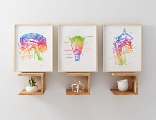 SLP Gift - Speech Therapist Gift - Speech Pathologist Gift - Speech Therapy Bundle Office Decor