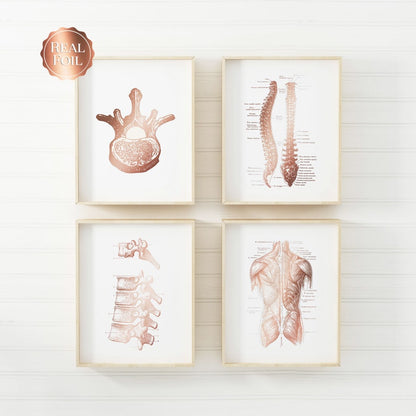 Chiropractor Gift - Chiropractic Art - Chiropractor Print - Gold Foil - Office Decor - Osteopathy