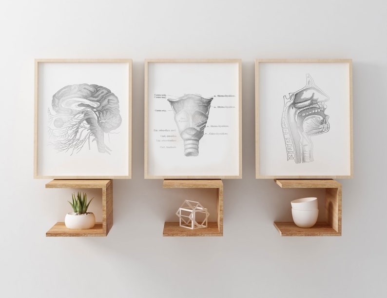 SLP Gift - Speech Language Pathologist Gift - Speech Therapist Gift - Speech Therapy Office Decor - Foil Print