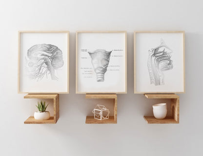 SLP Gift - Speech Language Pathologist Gift - Speech Therapist Gift - Speech Therapy Office Decor - Foil Print