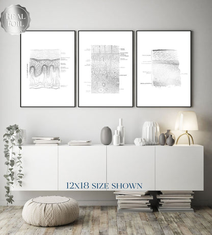 Dermatologist Gift - Esthetician Gift - Dermatology Print - Epidermis Art - Skin Anatomy - Histology Art - Gold Foil