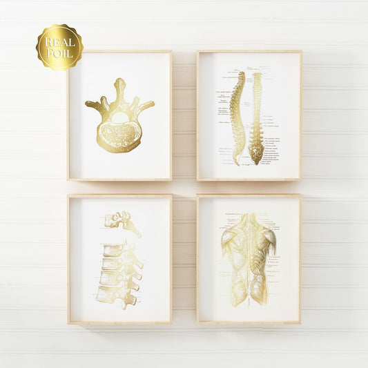 Chiropractor Gift - Chiropractic Art - Chiropractor Print - Gold Foil - Office Decor - Osteopathy