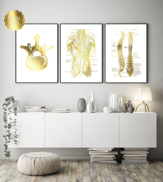 Chiropractic Art - Chiropractor Gift - Chiropractor Office Decor - Gold Foil Print - Osteopathy