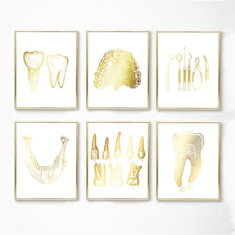 Dentist Gift - Dental Wall Art Set of 6 Prints - Orthodontist gift - Dental Office Decor - DDS, DMD gift - Gold Foil Print