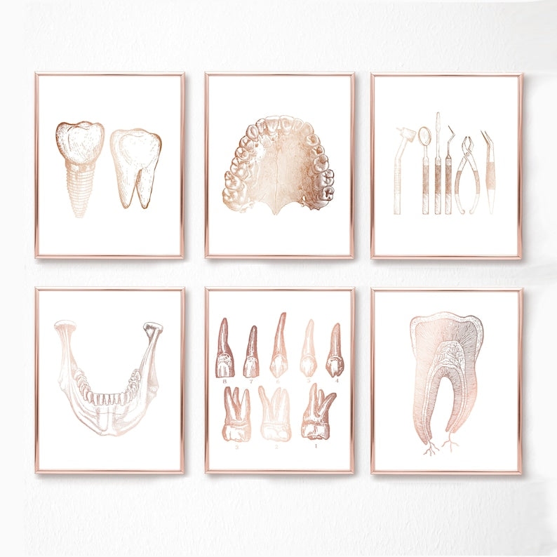 Dentist Gift - Dental Wall Art Set of 6 Prints - Orthodontist gift - Dental Office Decor - DDS, DMD gift - Gold Foil Print