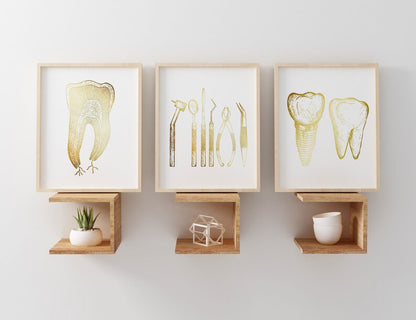 Dentist Gift - Orthodontist Gift - Dental Anatomy Art Print Set - Dental Art - Dental Office Decor