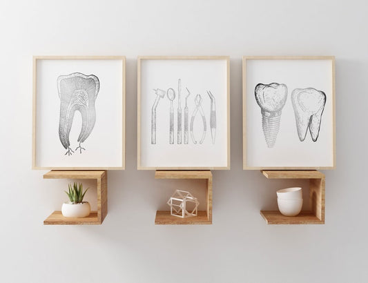 Dentist Gift - Orthodontist Gift - Dental Anatomy Art Print Set - Dental Art - Dental Office Decor