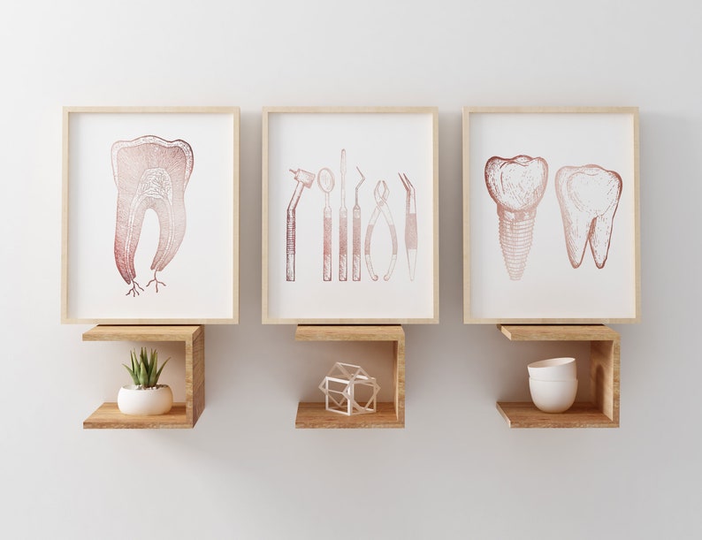 Dentist Gift - Orthodontist Gift - Dental Anatomy Art Print Set - Dental Art - Dental Office Decor