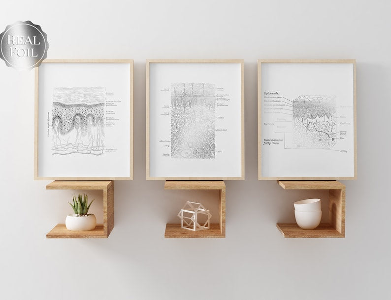 Dermatologist Gift - Dermatology Print - Epidermis Art - Esthetician Gift - Dermatology Office Decor