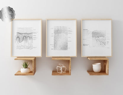 Dermatologist Gift - Dermatology Print - Epidermis Art - Esthetician Gift - Dermatology Office Decor