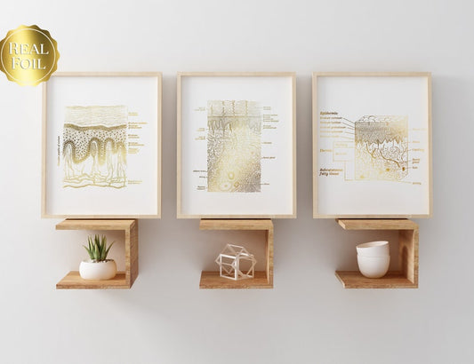 Dermatologist Gift - Dermatology Print - Epidermis Art - Esthetician Gift - Dermatology Office Decor