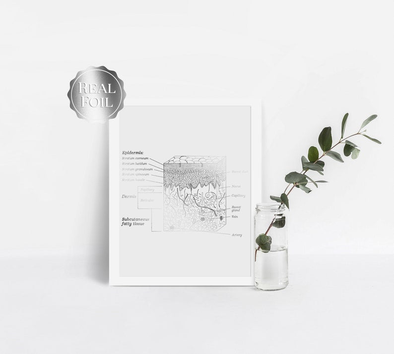 Esthetician Gift - Dermatologist Gift - Dermatology Print - Epidermis Art - Office Decor - Gold Print