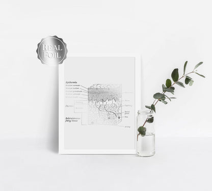 Esthetician Gift - Dermatologist Gift - Dermatology Print - Epidermis Art - Office Decor - Gold Print