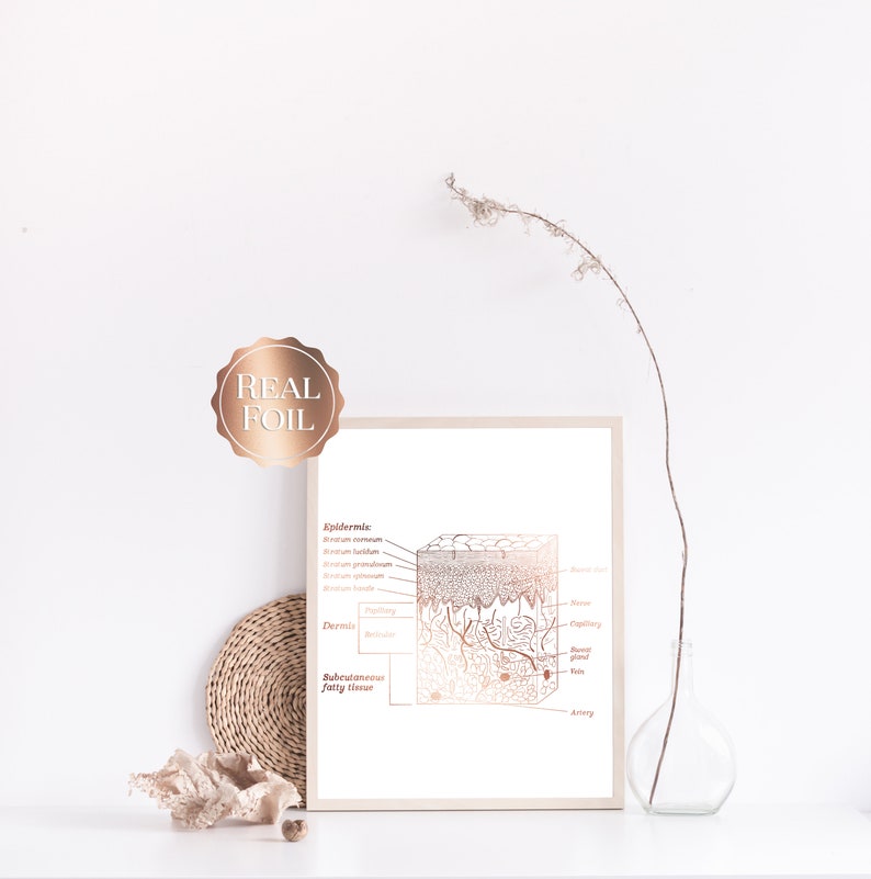 Esthetician Gift - Dermatologist Gift - Dermatology Print - Epidermis Art - Office Decor - Gold Print