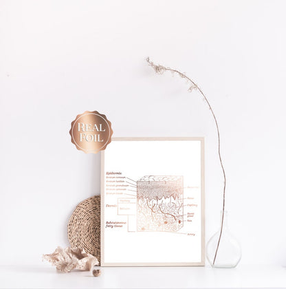 Esthetician Gift - Dermatologist Gift - Dermatology Print - Epidermis Art - Office Decor - Gold Print