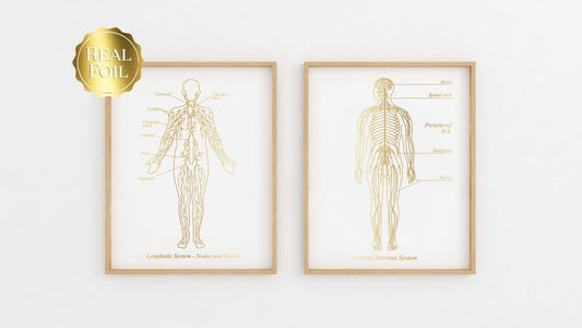 Nervous System Art - Lymphatic System Art - Neurologist Gift - Lymphologist Gift - Gold Foil Print