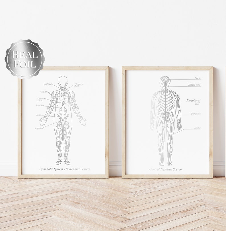 Nervous System Art - Lymphatic System Art - Neurologist Gift - Lymphologist Gift - Gold Foil Print