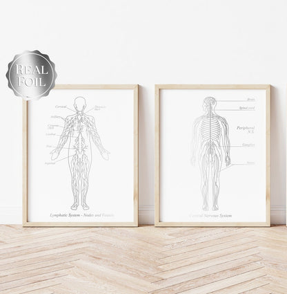 Nervous System Art - Lymphatic System Art - Neurologist Gift - Lymphologist Gift - Gold Foil Print