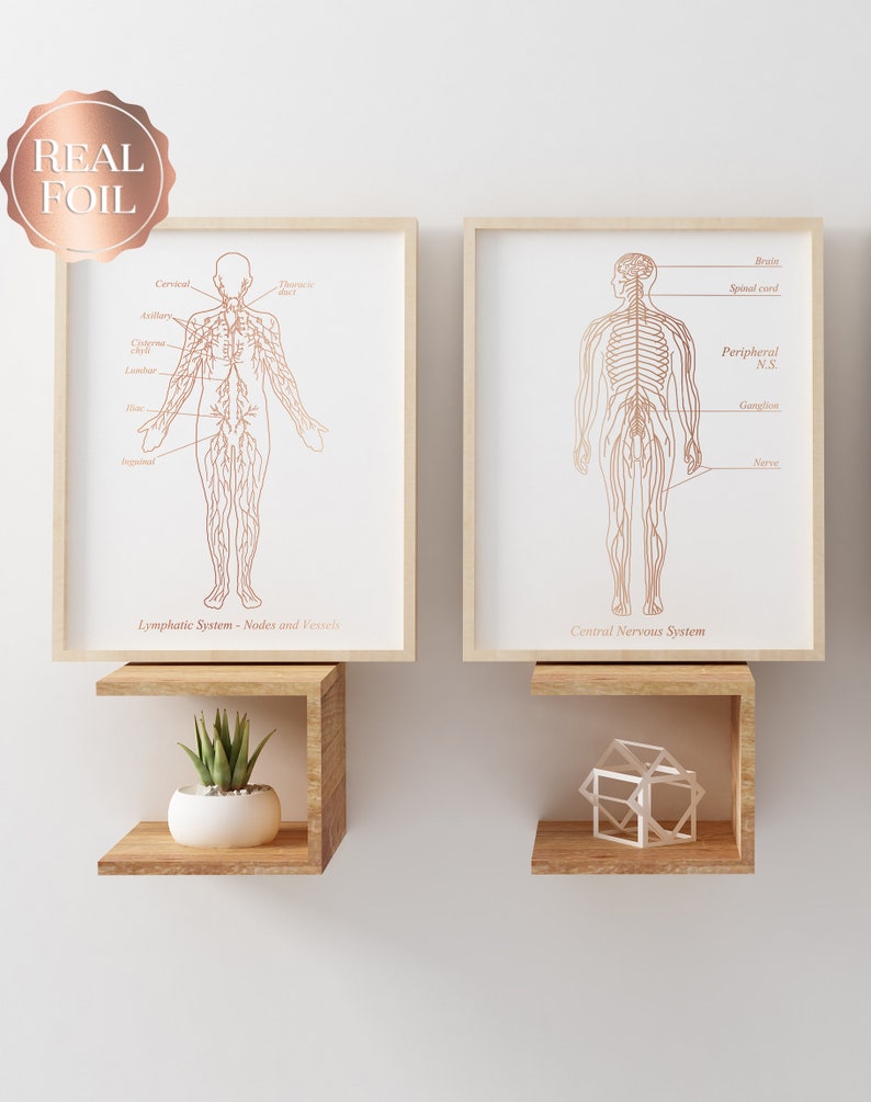 Nervous System Art - Lymphatic System Art - Neurologist Gift - Lymphologist Gift - Gold Foil Print