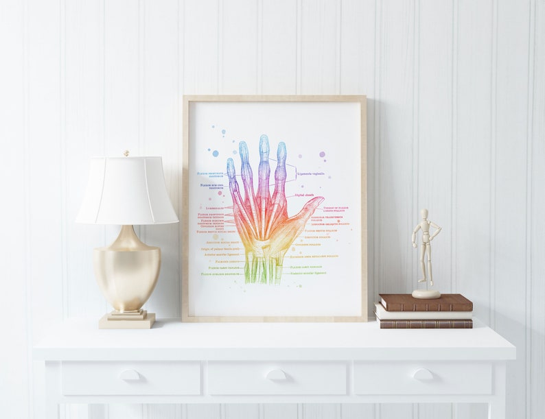 Physical Therapist Gift - Massage Therapist Gift - Hand Muscle Anatomy - Foot Muscle Anatomy - Set of 2 - Watercolor Wall Art