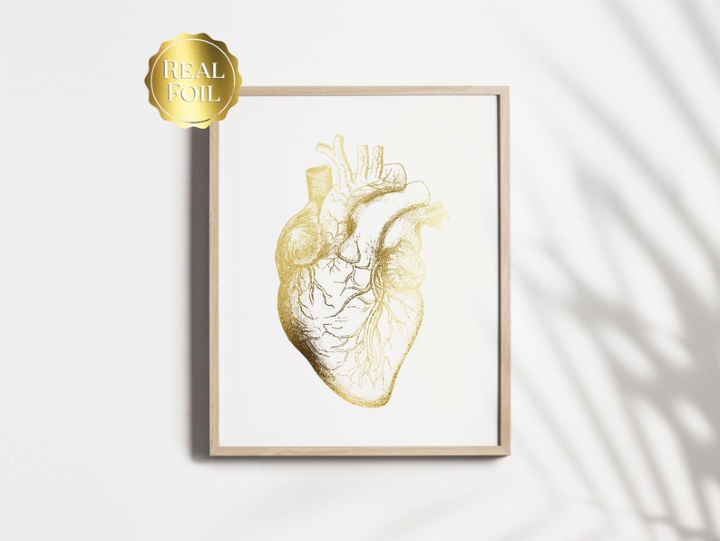 Cardiologist Gift - Anatomical Heart Print - Heart Surgeon Gift - Cardiology Art - Heart Gold Foil Print