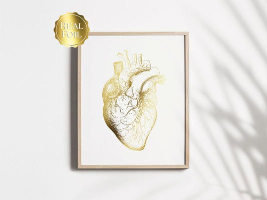 Cardiologist Gift - Anatomical Heart Print - Heart Surgeon Gift - Cardiology Art - Heart Gold Foil Print