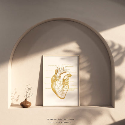 Cardiologist Gift - Anatomical Heart Print - Heart Surgeon Gift - Cardiology Art Decor - Heart Gold Foil Print