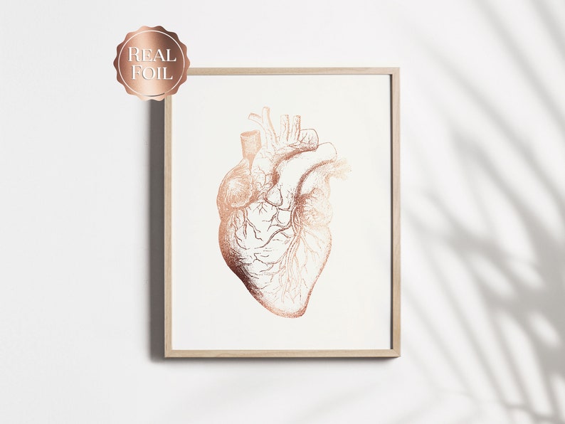 Cardiologist Gift - Anatomical Heart Print - Heart Surgeon Gift - Cardiology Art - Heart Gold Foil Print