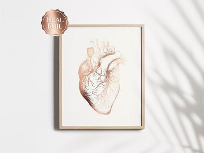 Cardiologist Gift - Anatomical Heart Print - Heart Surgeon Gift - Cardiology Art - Heart Gold Foil Print