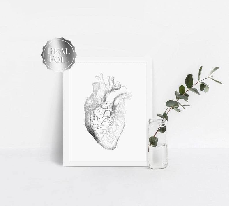 Cardiologist Gift - Anatomical Heart Print - Heart Surgeon Gift - Cardiology Art - Heart Gold Foil Print
