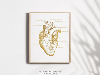 Cardiologist Gift - Anatomical Heart Print - Heart Surgeon Gift - Cardiology Art Decor - Heart Gold Foil Print