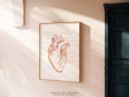 Cardiologist Gift - Anatomical Heart Print - Heart Surgeon Gift - Cardiology Art Decor - Heart Gold Foil Print