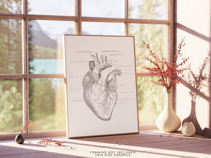 Cardiologist Gift - Anatomical Heart Print - Heart Surgeon Gift - Cardiology Art Decor - Heart Gold Foil Print