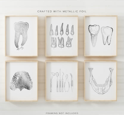 Dentist Gift - Dental Wall Art Set of 6 Prints - Orthodontist gift - Dental Office Decor - DDS, DMD gift - Gold Foil Print