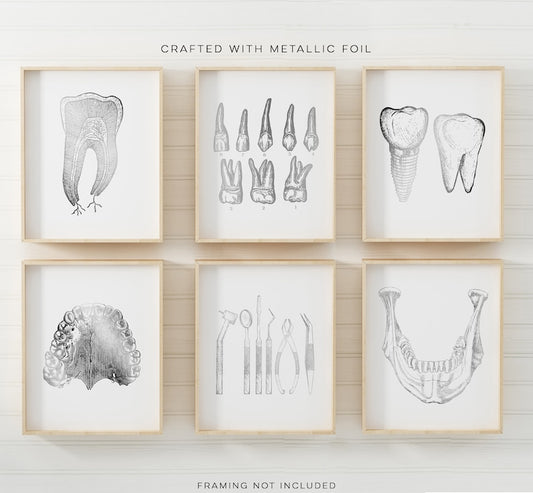 Dentist Gift - Dental Wall Art Set of 6 Prints - Orthodontist gift - Dental Office Decor - DDS, DMD gift - Gold Foil Print