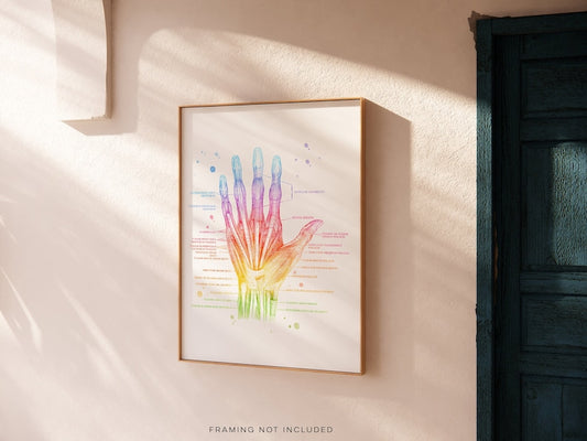 Hand Muscle Anatomy - Massage Therapist Gift - Physical Therapist Gifts - Med Student Gift - Medical Office Decor