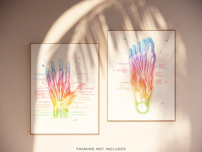 Physical Therapist Gift - Massage Therapist Gift - Hand Muscle Anatomy - Foot Muscle Anatomy - Set of 2 - Watercolor Wall Art