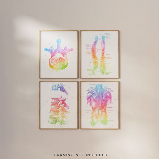 Chiropractor Gift - Chiropractic Art Set of 4 Prints - Watercolor Chiropractor Print - Osteopathy