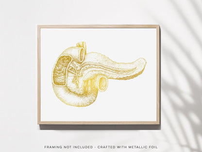 Pancreas Art - Pancreas Anatomy - Gold Anatomy Art - Anatomy Decor - Human Anatomy - Med Student Gift - Medical Office Decor - Hepatology