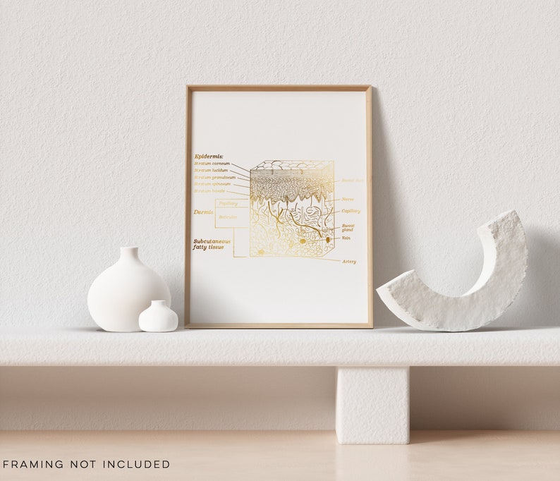 Esthetician Gift - Dermatologist Gift - Dermatology Print - Epidermis Art - Office Decor - Gold Print