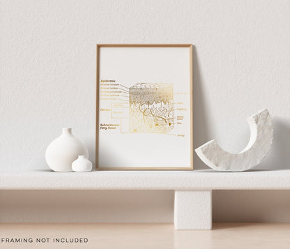 Esthetician Gift - Dermatologist Gift - Dermatology Print - Epidermis Art - Office Decor - Gold Print