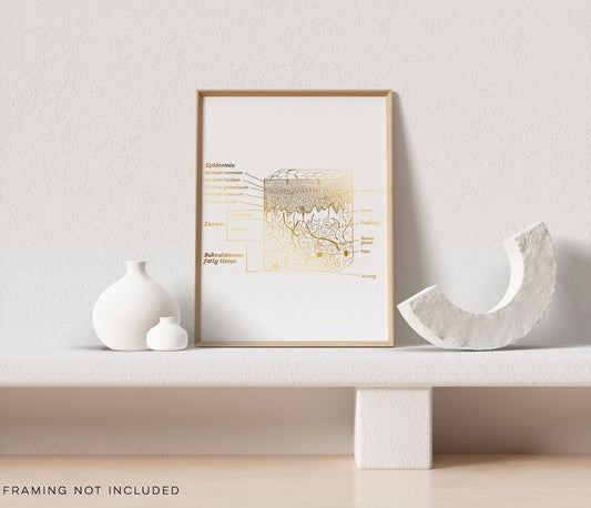 Esthetician Gift - Dermatologist Gift - Dermatology Print - Epidermis Art - Office Decor - Gold Print