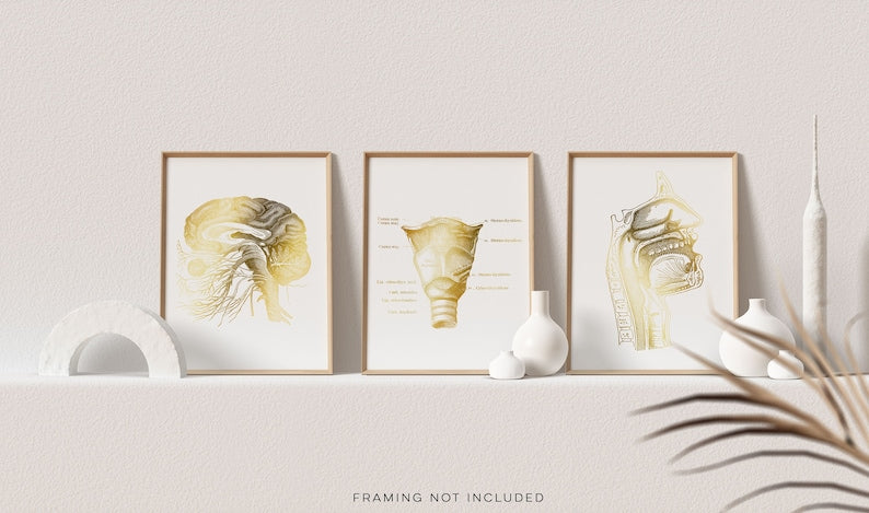 SLP Gift - Speech Language Pathologist Gift - Speech Therapist Gift - Speech Therapy Office Decor - Foil Print