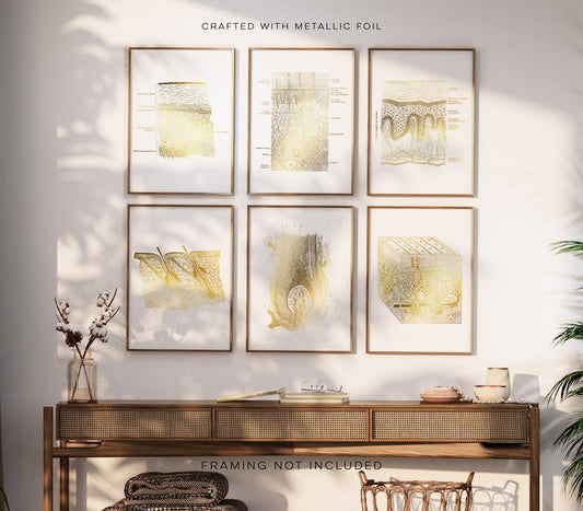 Esthetician Gift Set of 6 Prints - Esthetician Office Decor - Dermatology Art - Gold Foil Print - Epidermis Art
