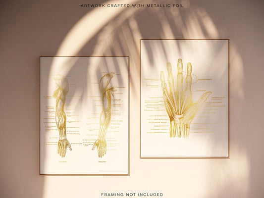 Physical Therapist Gifts - Hand Muscle Anatomy - Hand Massage Therapist Gift - Arm Muscle Anatomy - Massage Decor - Gold Foil Print