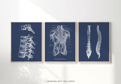 Custom Chiropractor Gift: Gold Foil Spine Art Print Set