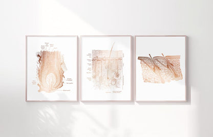 Foil Epidermis Art Print Set: Dermatology & Esthetician Office Decor