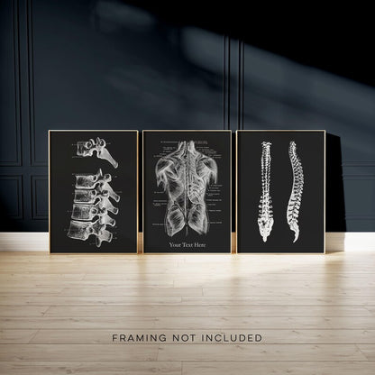 Custom Chiropractor Gift: Gold Foil Spine Art Print Set